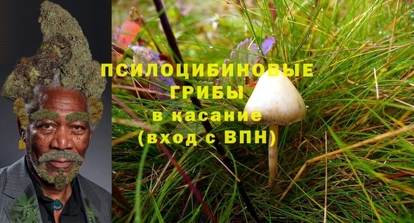 а пвп мука Осинники