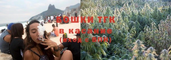 молекула духа Переславль-Залесский