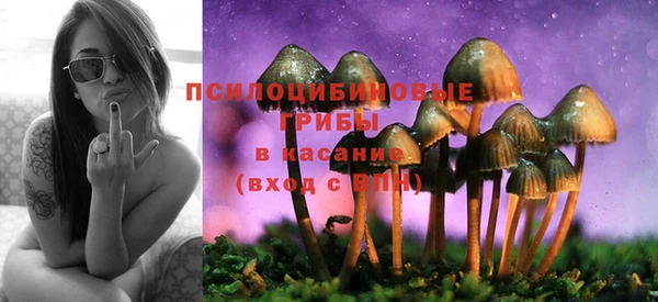 марки lsd Гусев