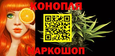 индика Абакан