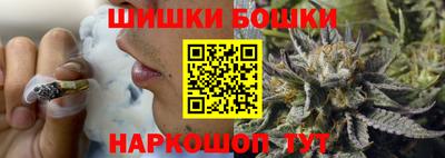 меф Гатчина
