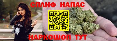 меф Гатчина