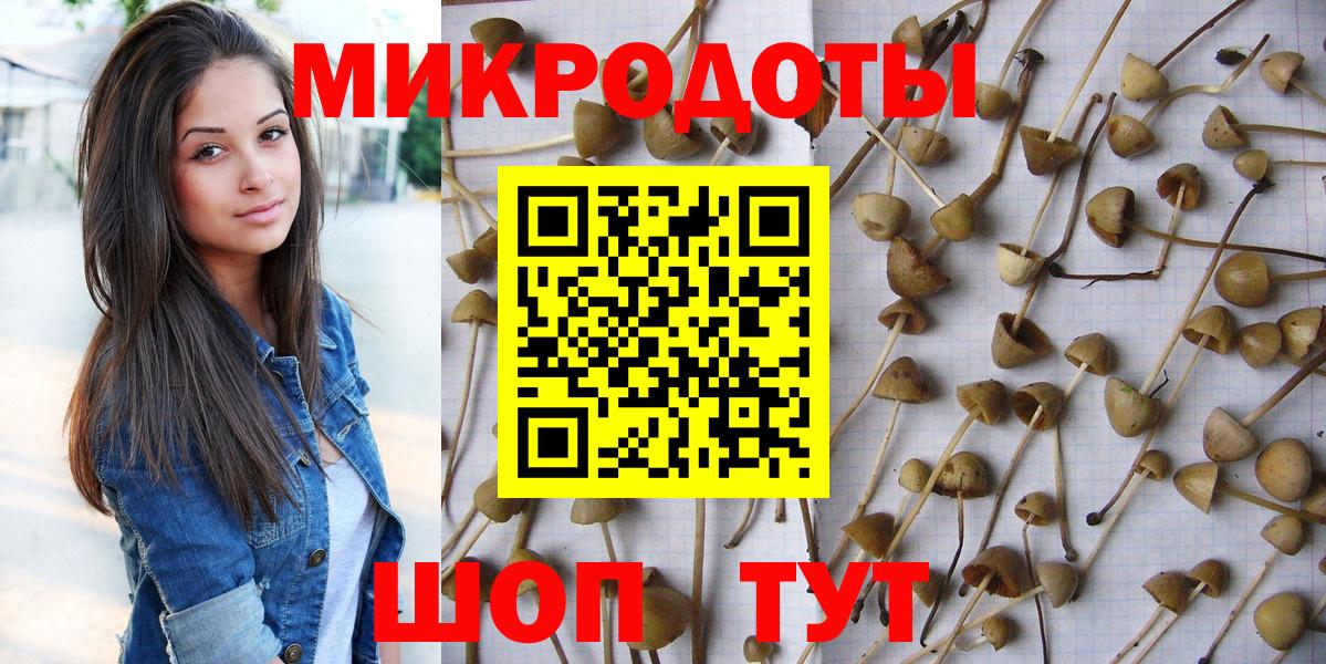 Псилоцибиновые грибы мухоморы  Галлюциногенные грибы прущие грибы  Вход с VPN  Алатырь 